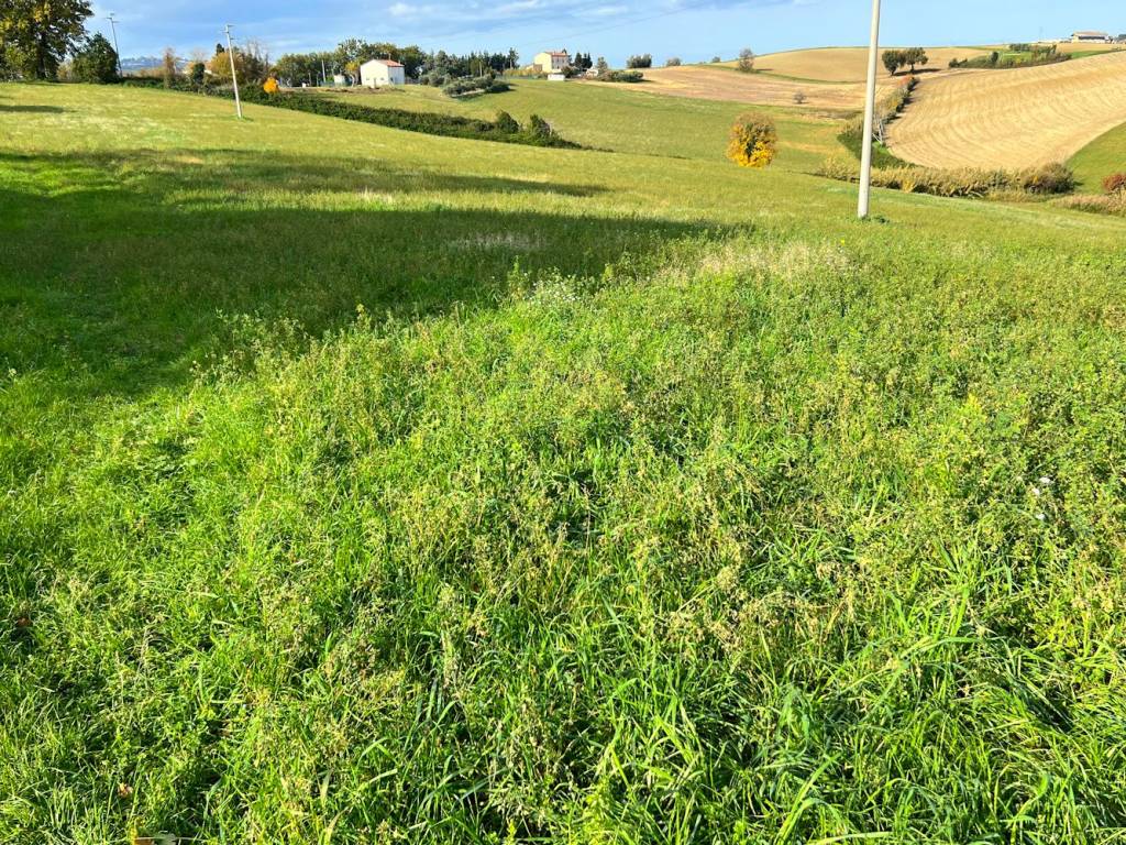 Terreno a Vallefoglia in Via dei Cipressi - Foto 3