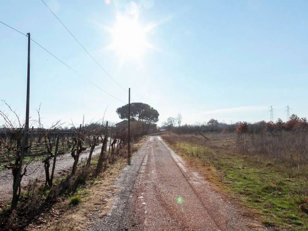 Rustico / casale a Cortona - Foto 4