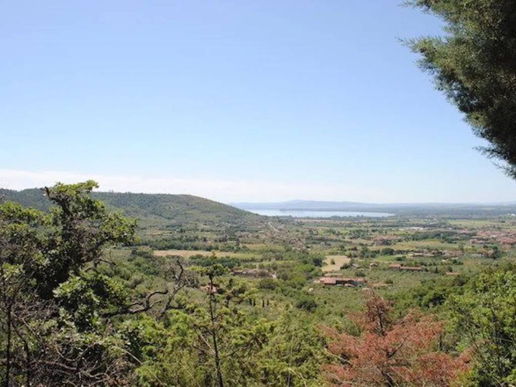 Rustico / casale a Cortona - Foto 3