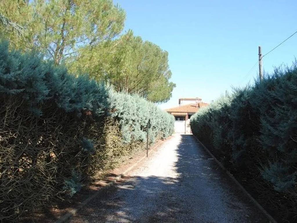 Rustico / casale a Cortona - Foto 3