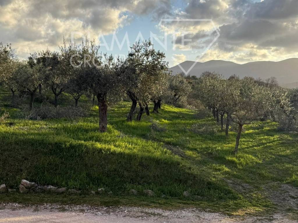 Rustico / casale a Castel ritaldi - Foto 5