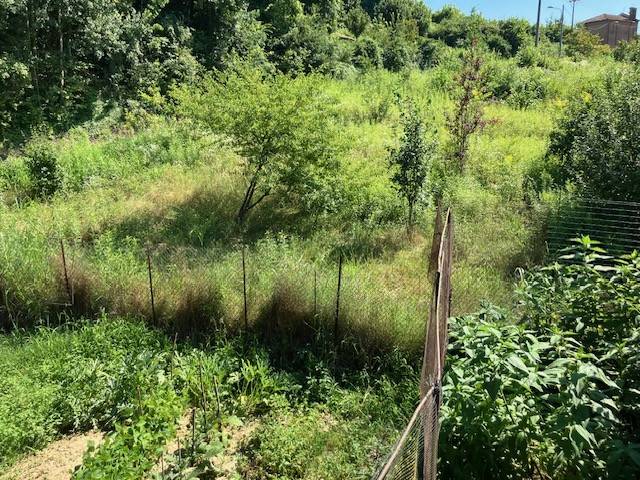 Rustico / casale a Sommariva perno - Foto 3