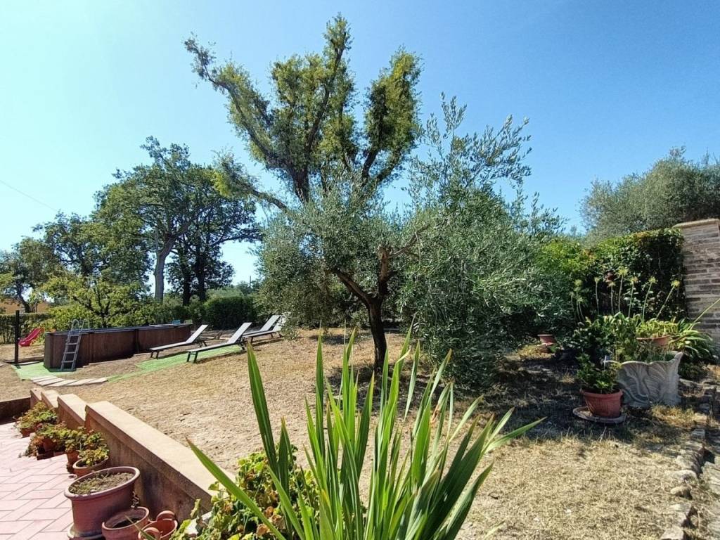 Rustico / casale a Cartoceto in VIA FALARCO, 8 - Foto 5