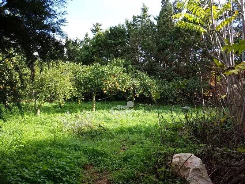 Villa a Marsala - Foto 5