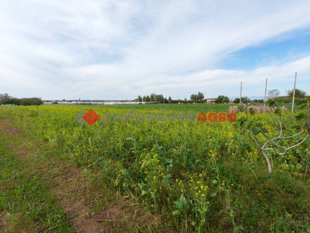 Terreno a Capaccio paestum in Via Procuzzi - Foto 2