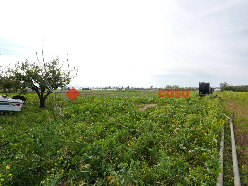 Terreno a Capaccio paestum in Via Procuzzi - Foto 3