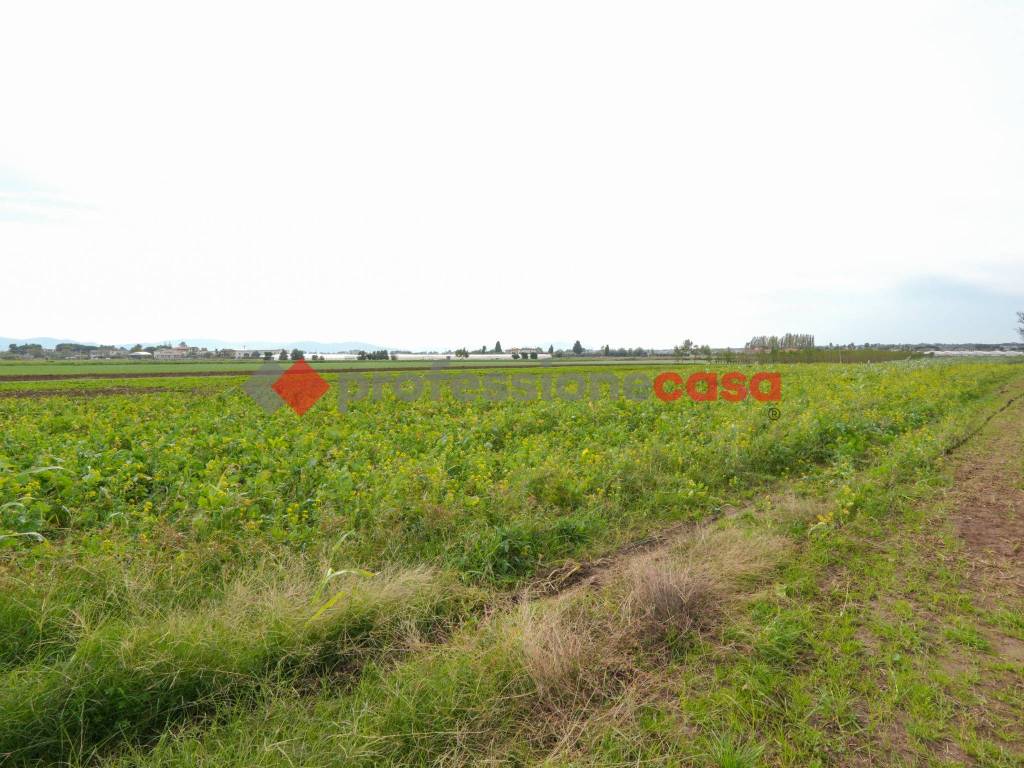 Terreno a Capaccio paestum in Via Procuzzi - Foto 4