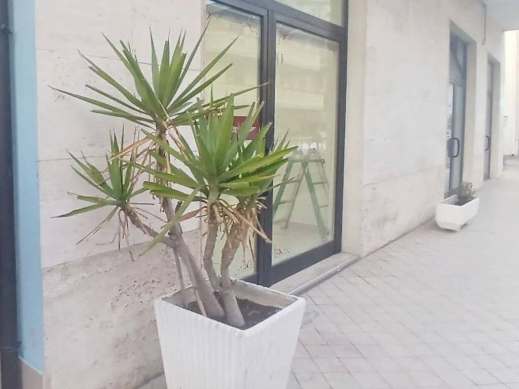 Immobile a Silvi in Via San Antonio, 16 - Foto 4