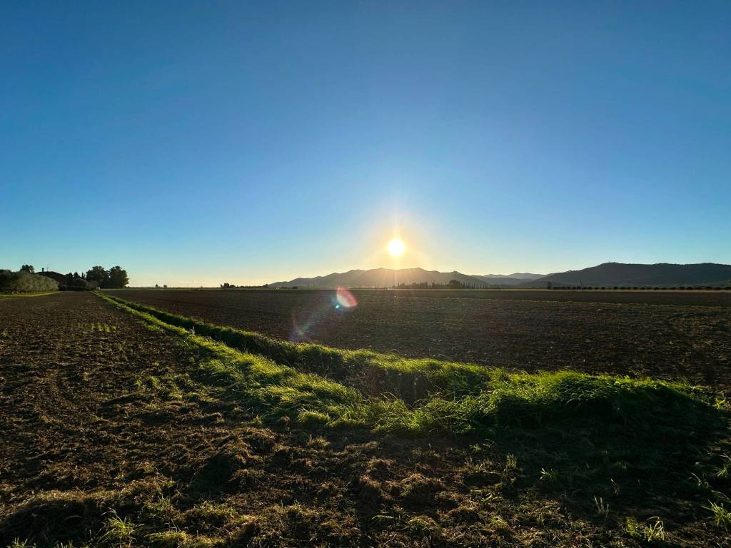 Terreno a Castiglione della pescaia - Foto 2