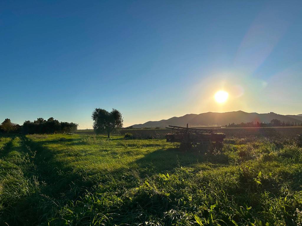 Terreno a Castiglione della pescaia - Foto 3