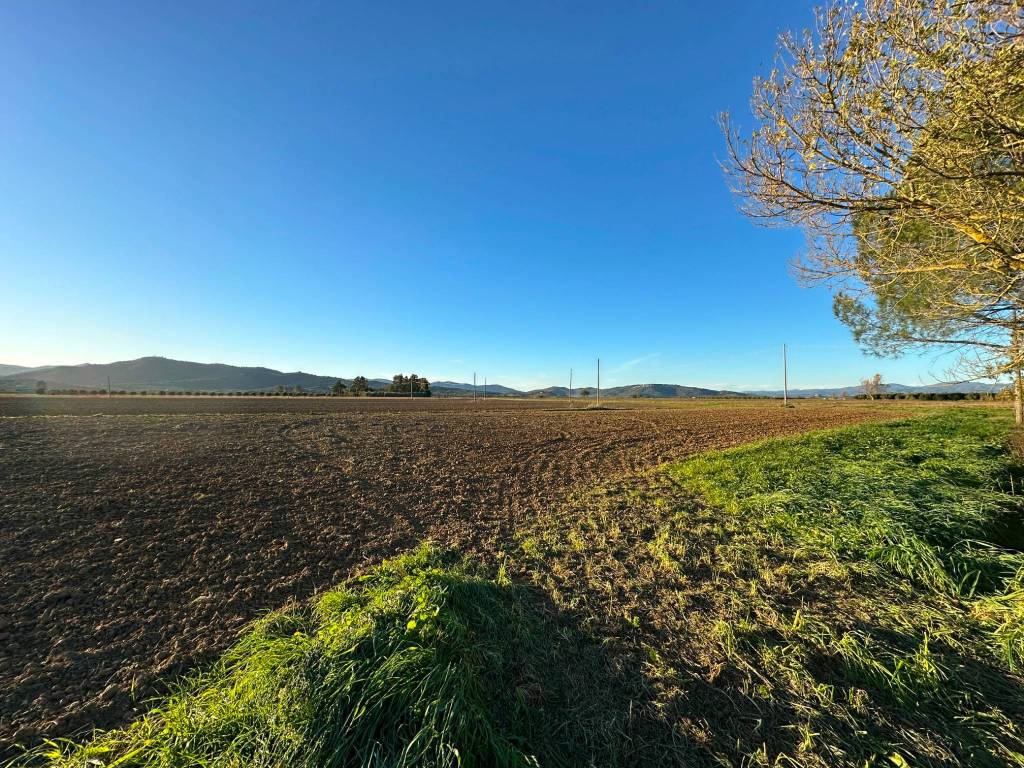 Terreno a Castiglione della pescaia - Foto 4
