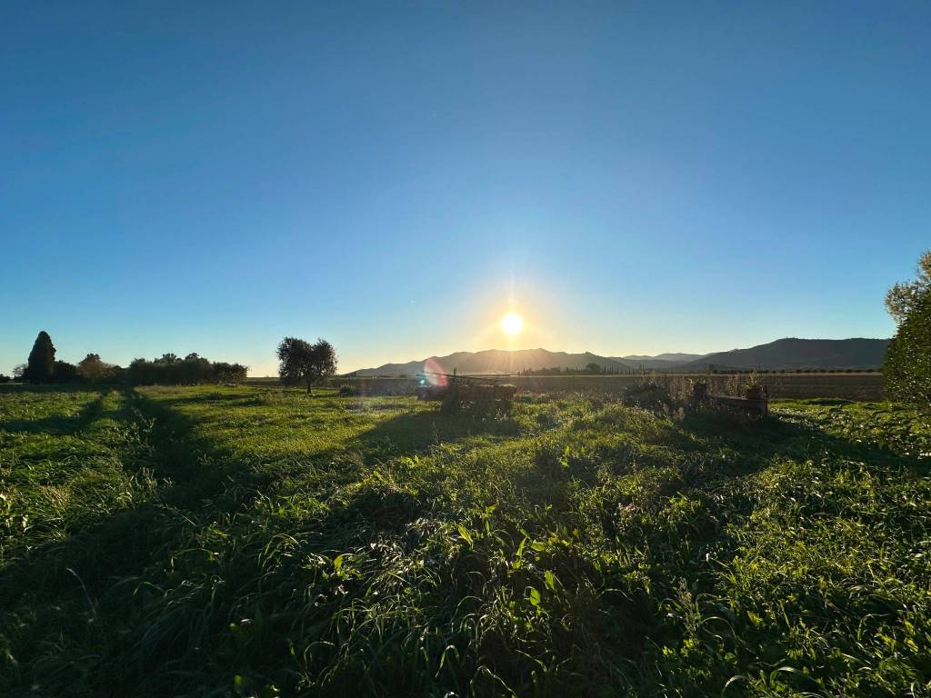 Terreno a Castiglione della pescaia - Foto 5