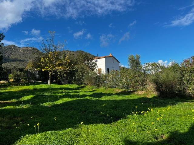 Villa a Villa san pietro in Via del Ginepro - Foto 5