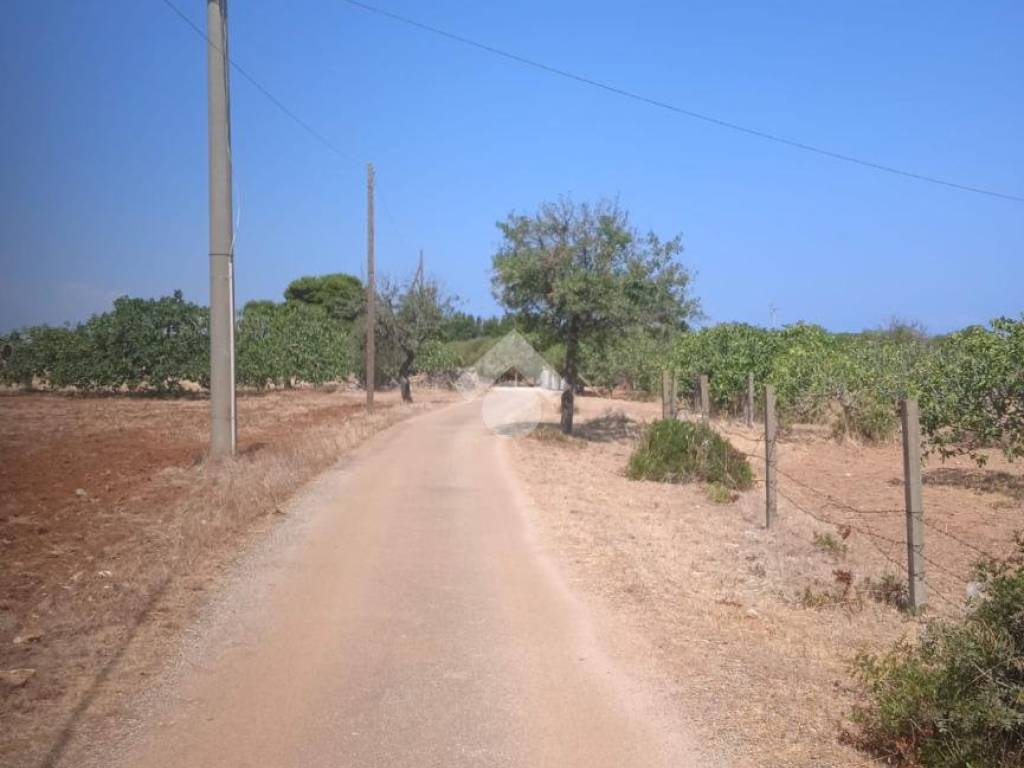 Terreno a Carovigno in Contrada Monacelle - Foto 3