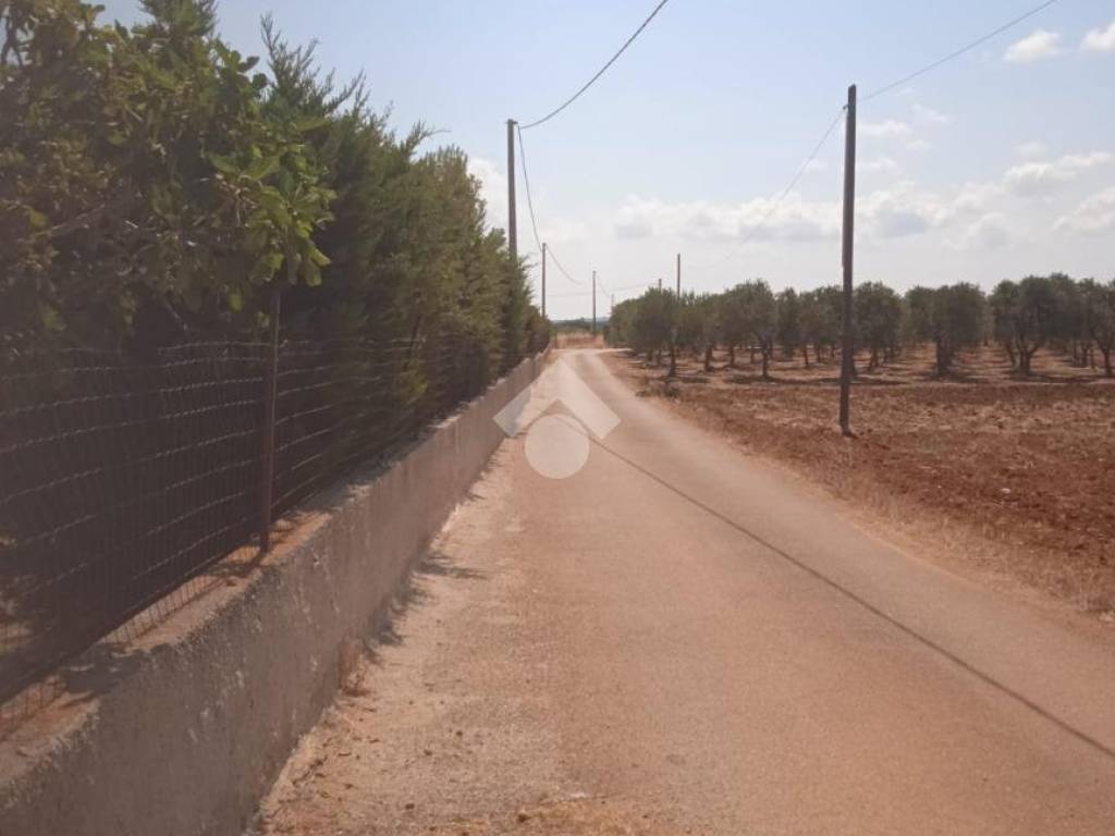 Terreno a Carovigno in Contrada Monacelle - Foto 5
