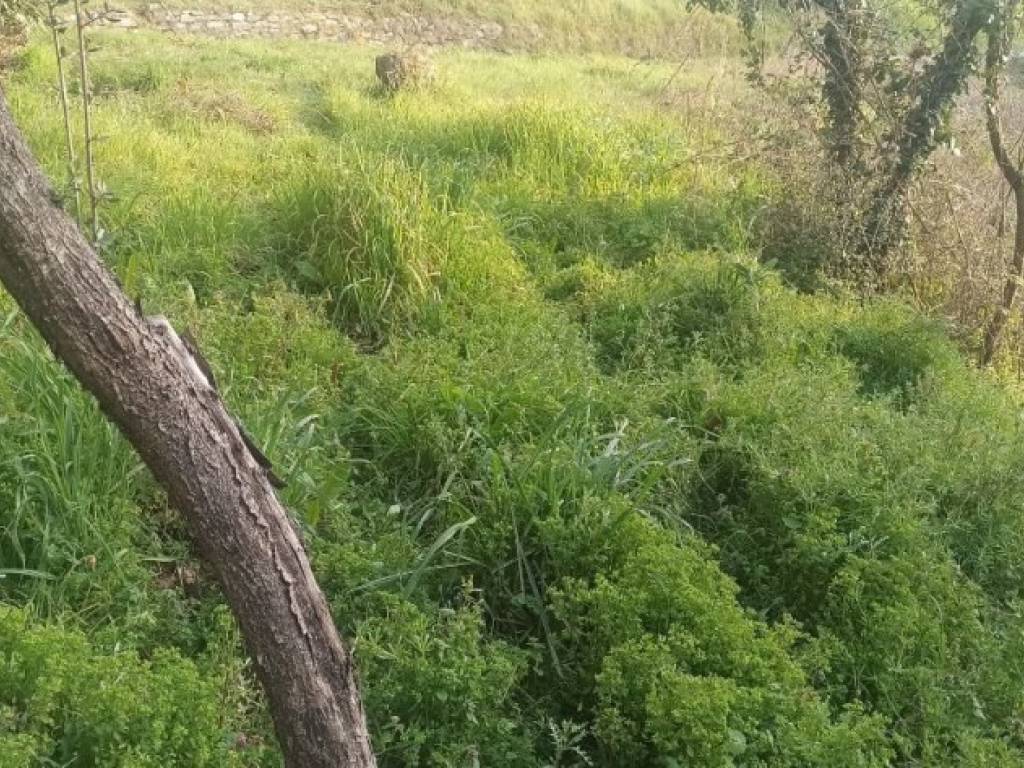 Casa indipendente a Città della pieve in Via della Resistenza - Foto 4