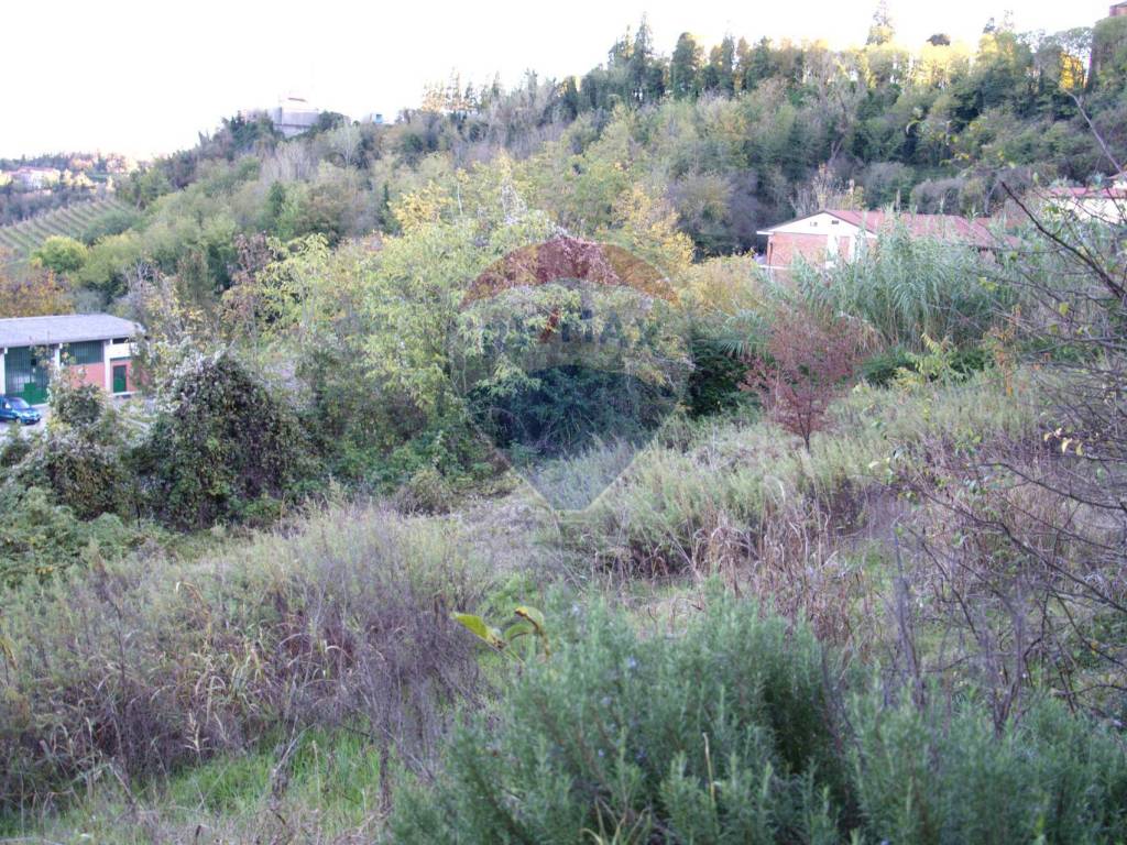 Terreno a Moncalvo - Foto 5