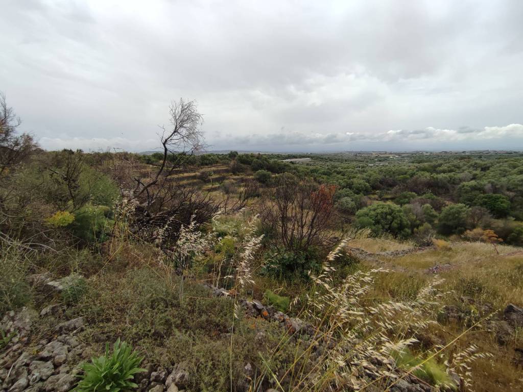 Terreno a Belpasso in c.da Acquarossa - Foto 3