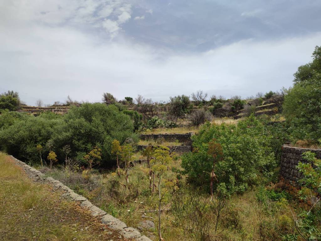 Terreno a Belpasso in c.da Acquarossa - Foto 5