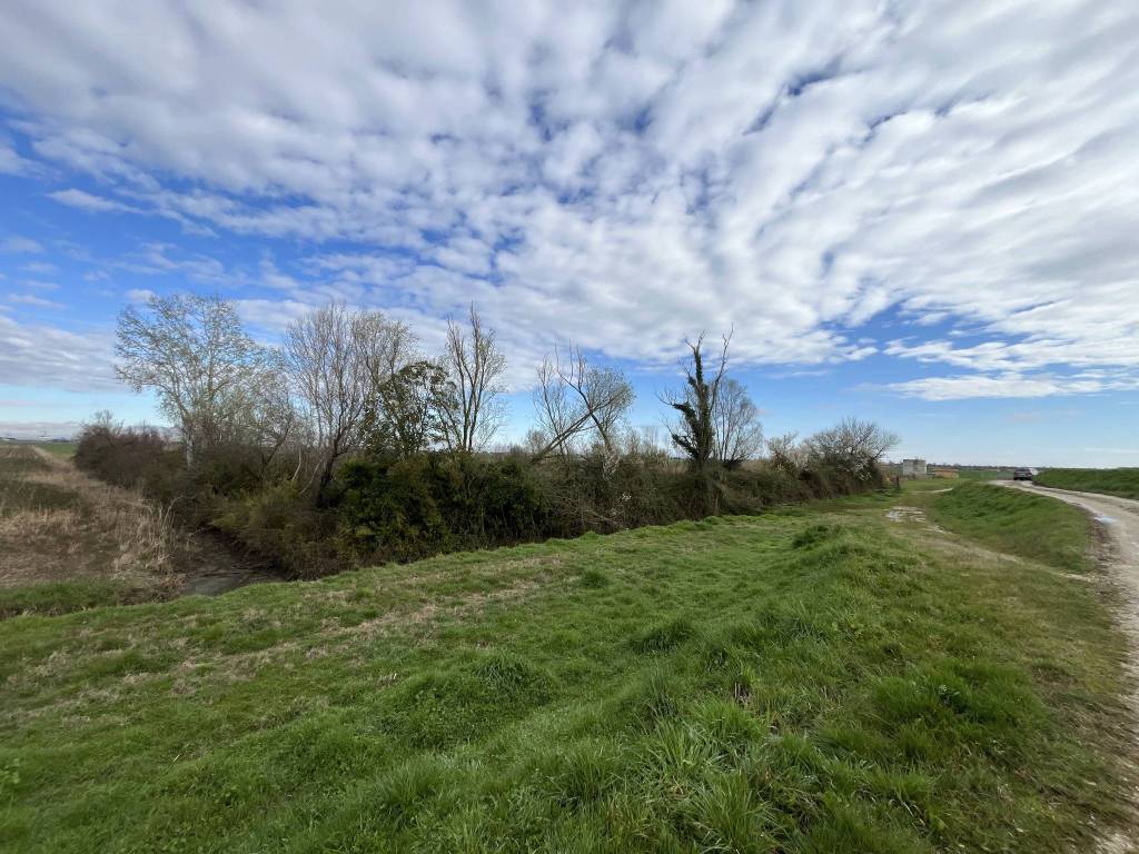 Terreno a Porto viro in Via Po Vecchio - Foto 2