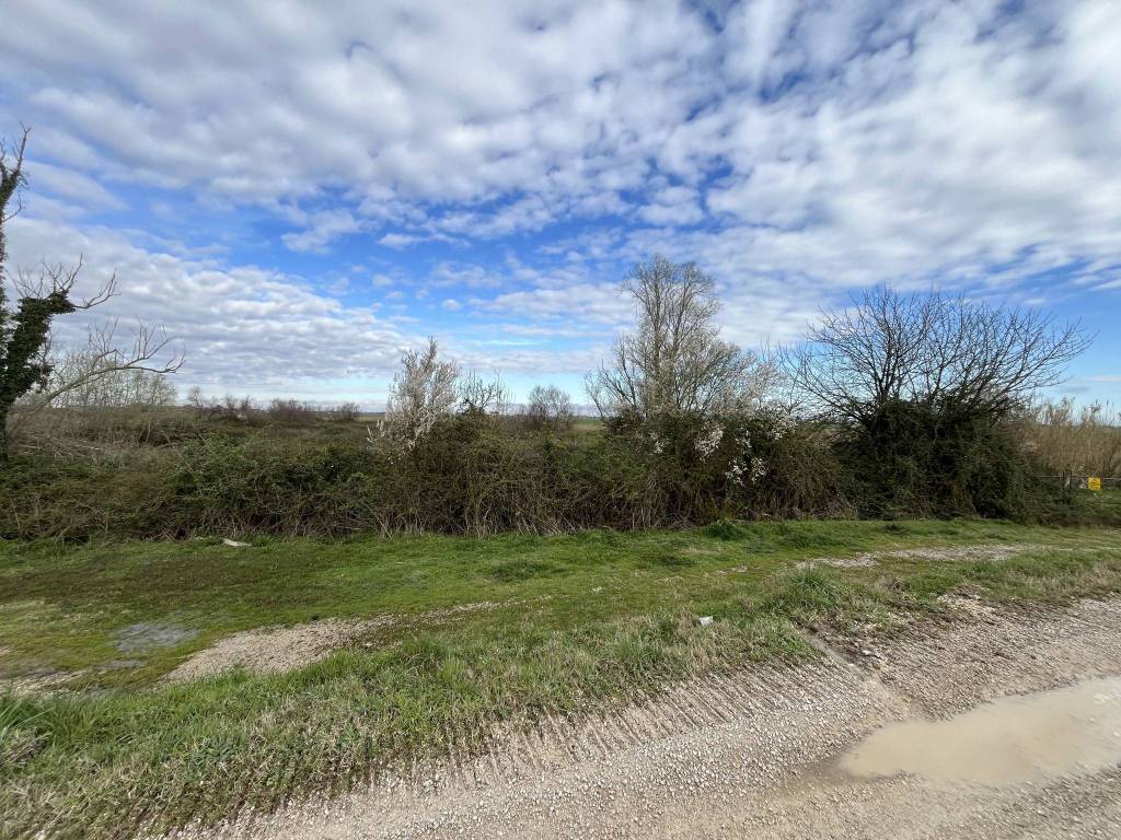 Terreno a Porto viro in Via Po Vecchio - Foto 4