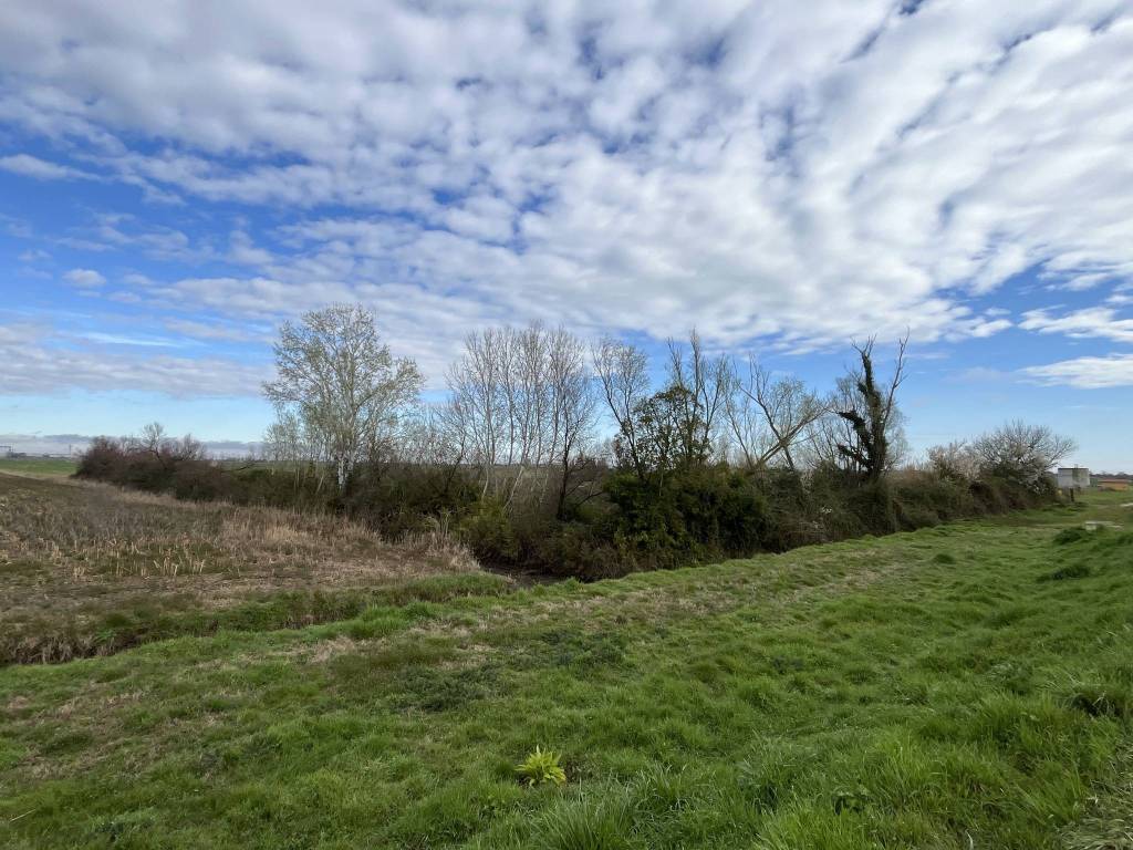 Terreno a Porto viro in Via Po Vecchio - Foto 5