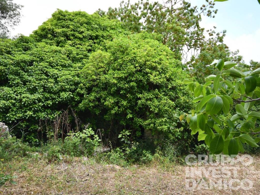 Rustico / casale a Cisternino in Contrada Colucci - Foto 2