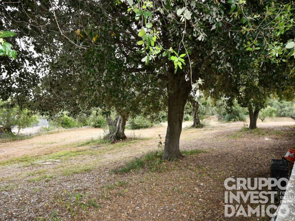 Rustico / casale a Cisternino in Contrada Colucci - Foto 3