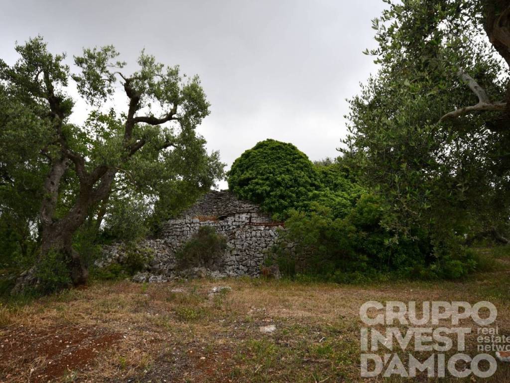 Rustico / casale a Cisternino in Contrada Colucci - Foto 4