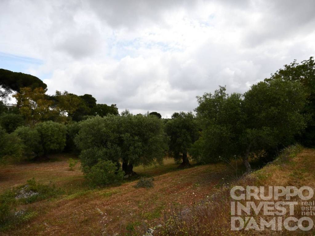 Rustico / casale a Cisternino in Contrada Colucci - Foto 5
