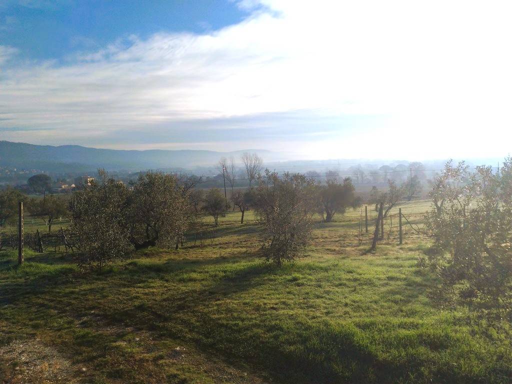 Immobile a Tuoro sul trasimeno - Foto 2