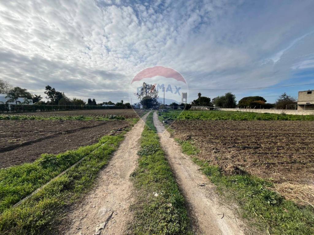 Terreno a Latiano in Contrada Fieu, 2 - Foto 2