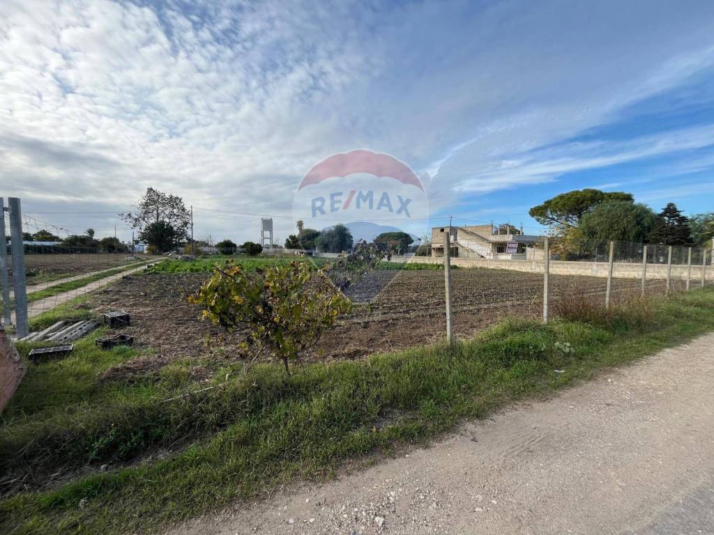 Terreno a Latiano in Contrada Fieu, 2 - Foto 3