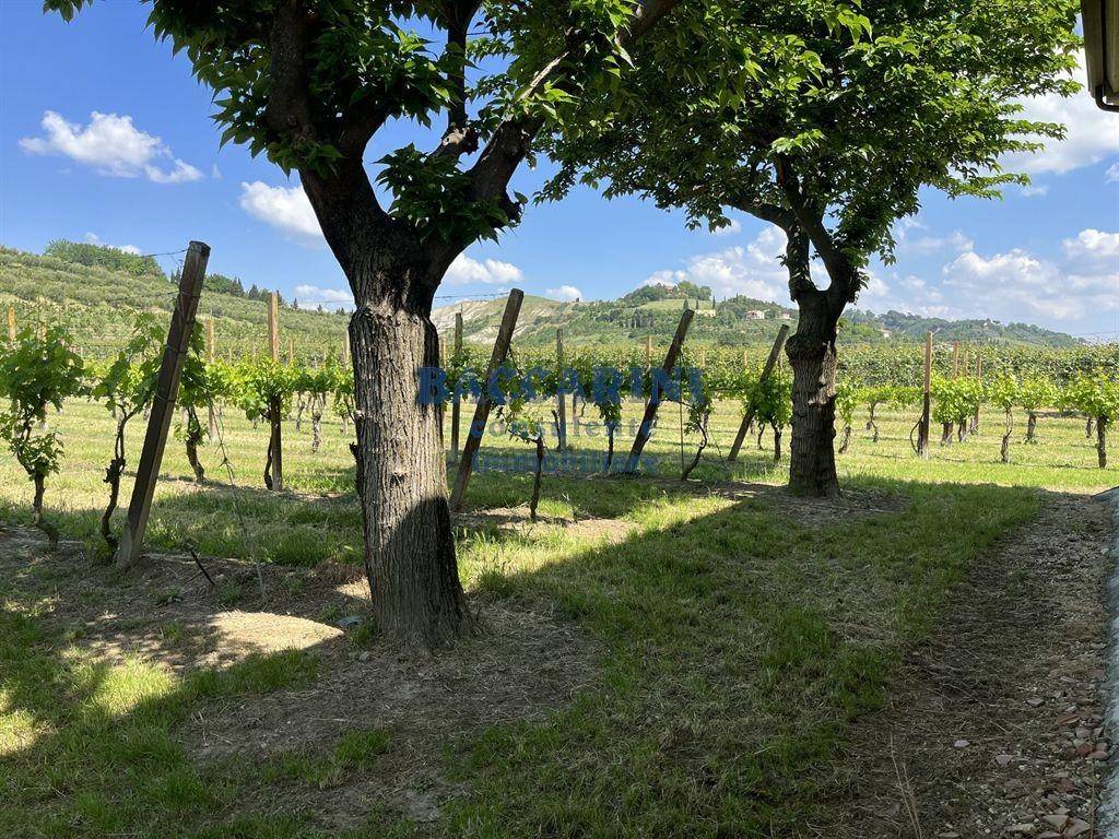 Terreno a Brisighella in VIA FAENTINA, 95 - Foto 2