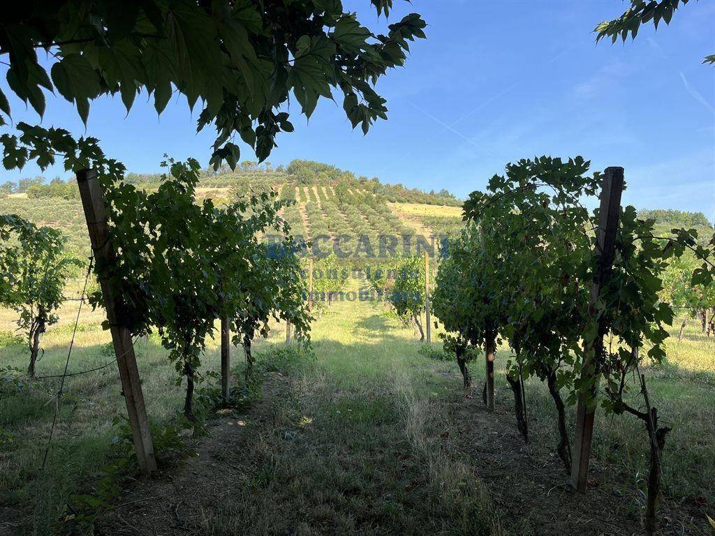 Terreno a Brisighella in VIA FAENTINA, 95 - Foto 3