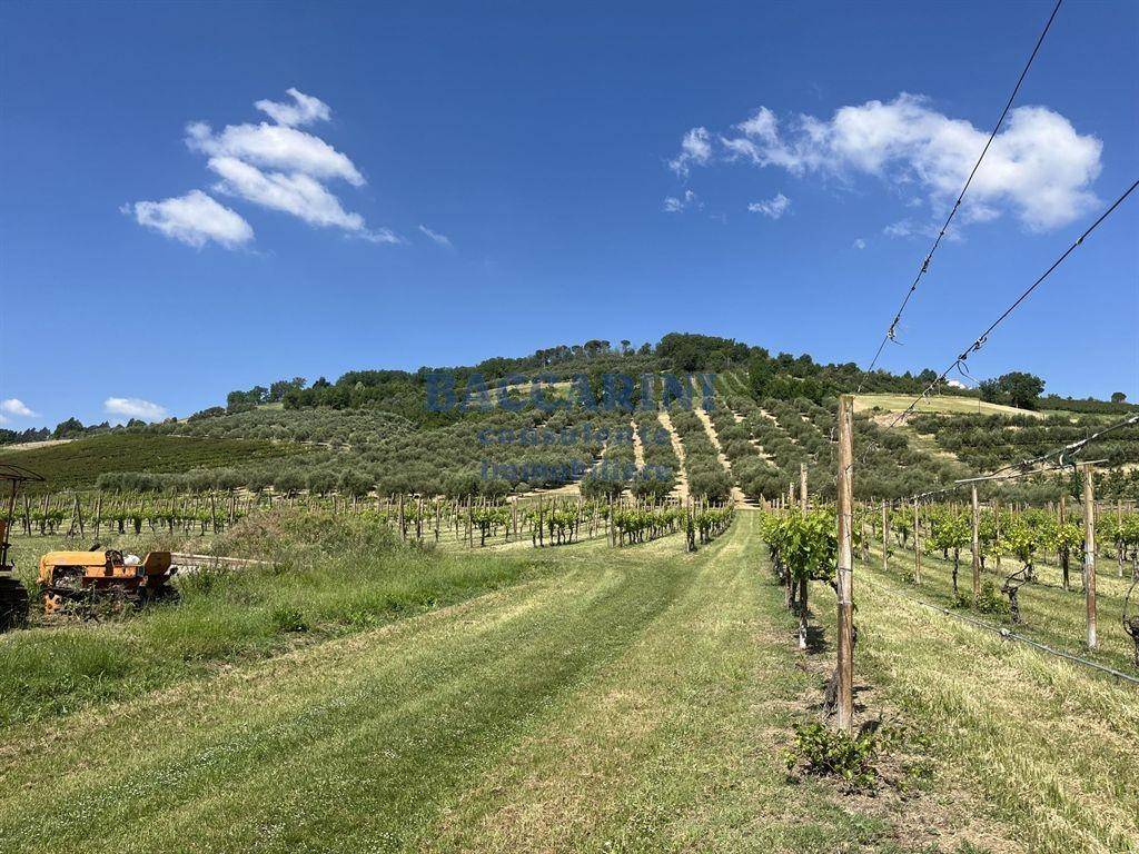 Terreno a Brisighella in VIA FAENTINA, 95 - Foto 5