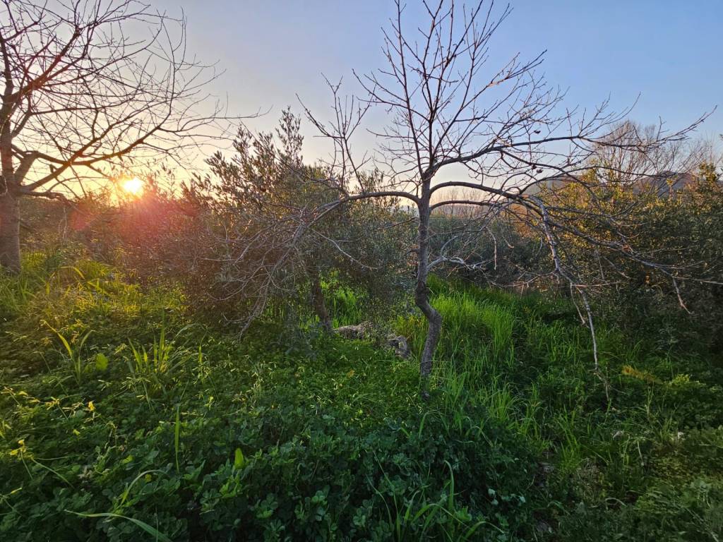 Rustico / casale a Gaeta in Via Monte Tortone, 72 - Foto 5