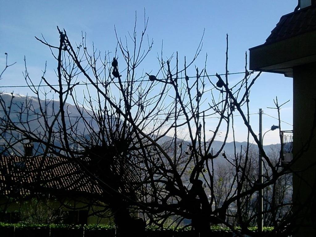 Appartamento a Airuno in Località Gibello - Foto 2