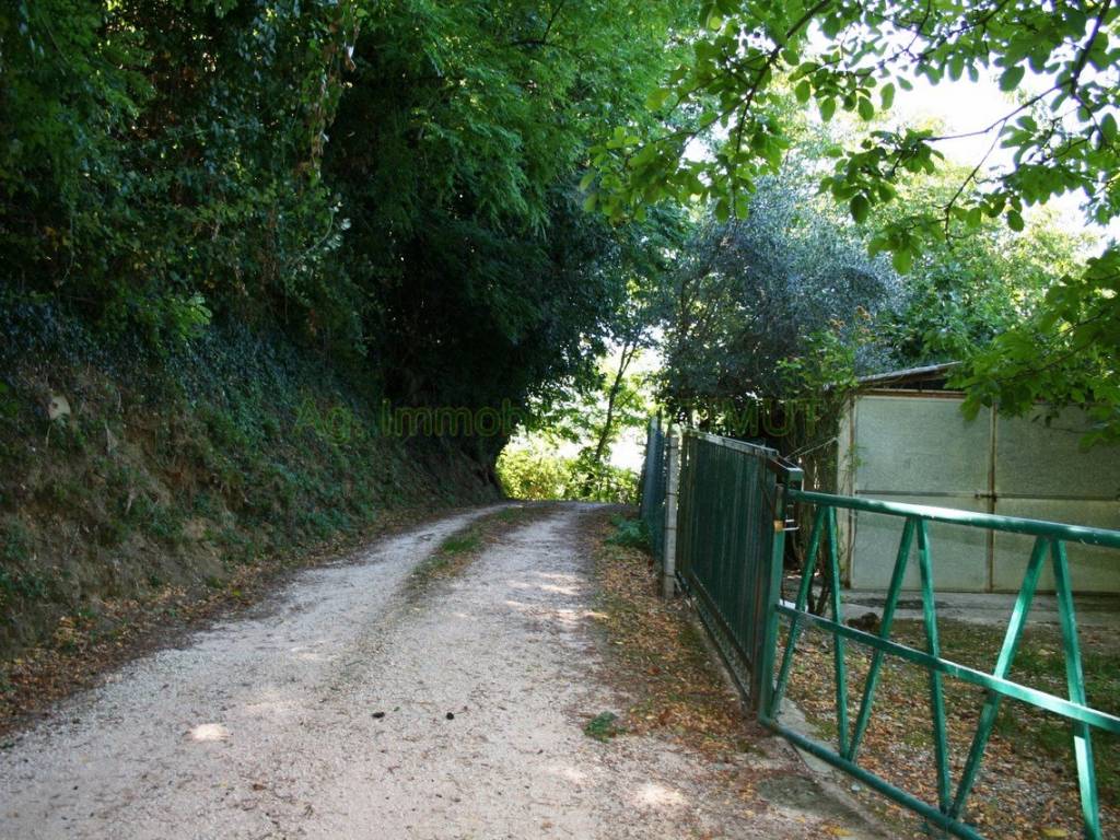 Rustico / casale a Terre roveresche in Località Montesoffio - Foto 2