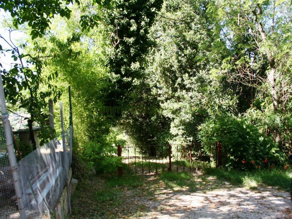 Rustico / casale a Terre roveresche in Località Montesoffio - Foto 5