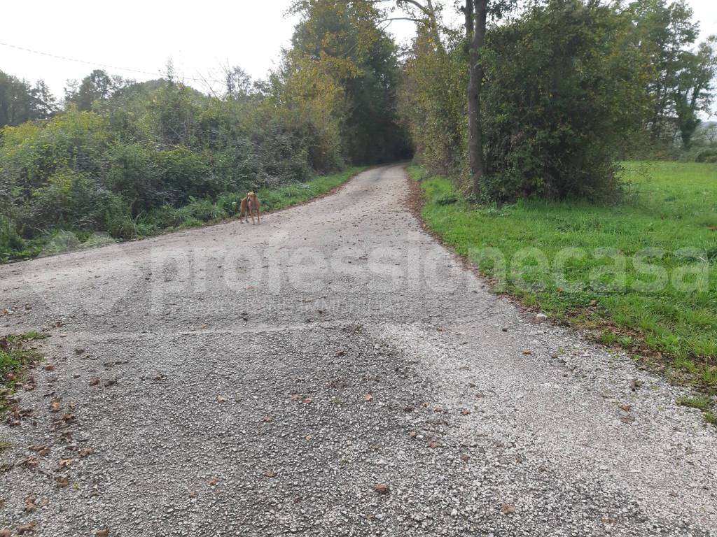 Rustico / casale a San pietro avellana in Località Masseria di Cristo - Foto 2