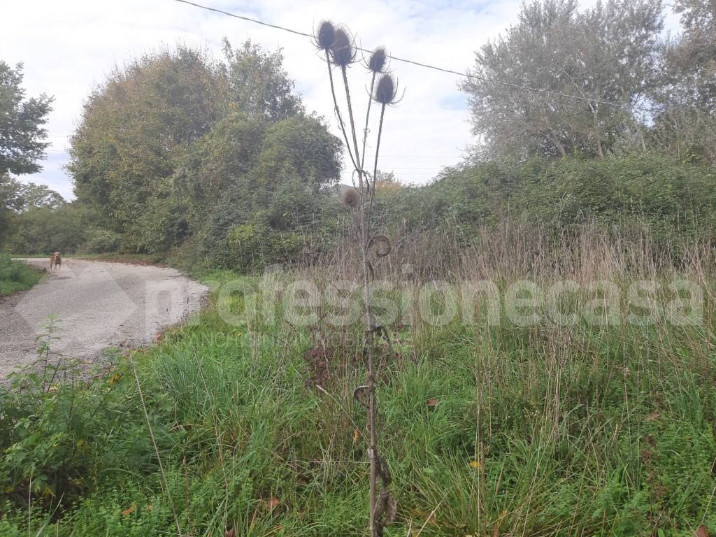 Rustico / casale a San pietro avellana in Località Masseria di Cristo - Foto 3