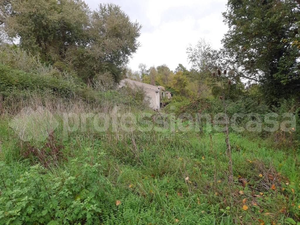 Rustico / casale a San pietro avellana in Località Masseria di Cristo - Foto 4