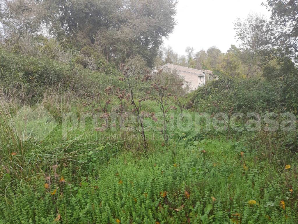 Rustico / casale a San pietro avellana in Località Masseria di Cristo - Foto 5