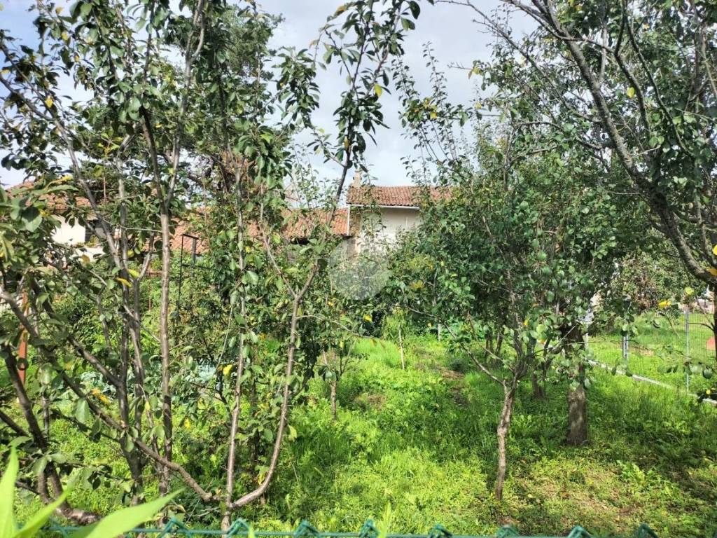 Rustico / casale a Trinità in FRAZIONE MOLINI, 97 - Foto 3