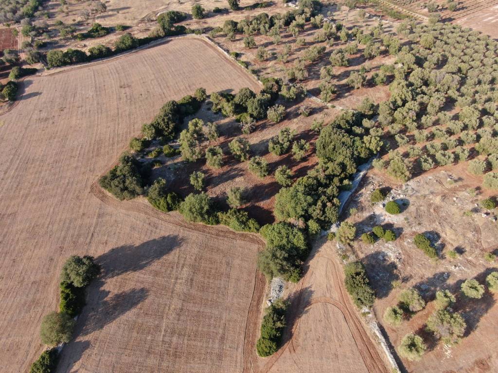 Terreno a Carovigno in SS16 - Foto 5