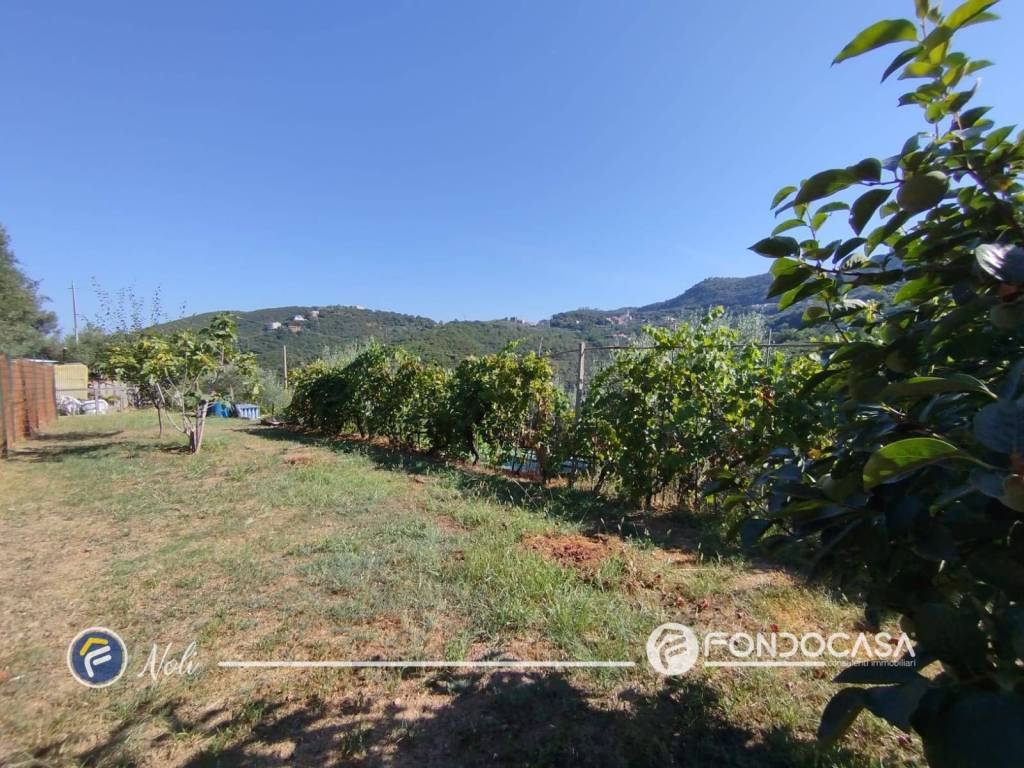 Terreno a Noli in Via Guardia - Foto 3