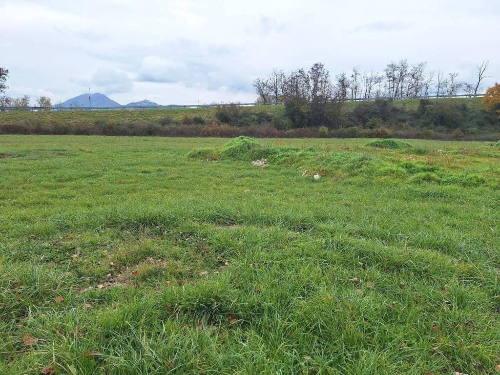 Terreno a Carsoli in Località Campora, N. snc - Foto 2