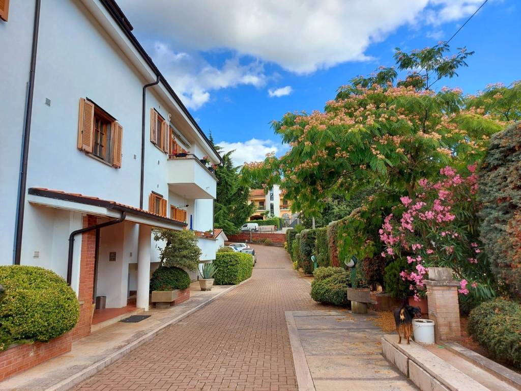 Appartamento a Pesche in via Albert Bruce Sabin, 6 - Foto 2