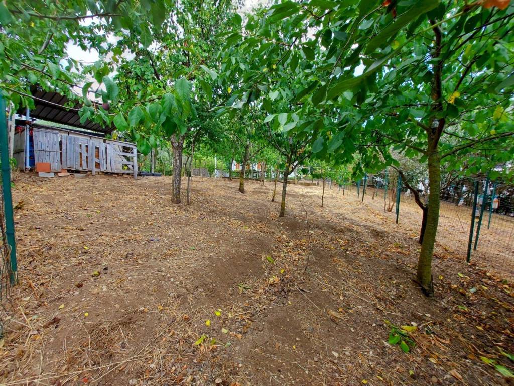 Appartamento a Pesche in via Albert Bruce Sabin, 6 - Foto 5